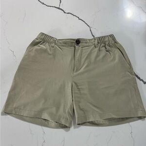 Chubbies Light Gray/Greenish Shorts